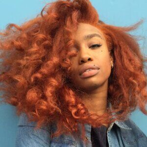 New Kinky Straight Big Bold Body Barrel Curl Wig - Boss Lady Hair!